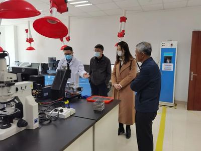 构建协同创新机制，助推双碳目标实现——辽宁省科技厅副厅长安锦香一行莅临我司考察调研，共商工程和技术研究试验发展新路径