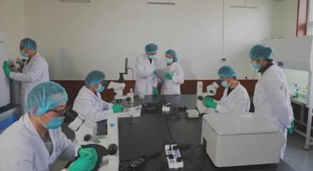 我市打造&ldquo;四种模式&rdquo; 让农业社会化服务为乡村振兴&ldquo;赋能&rdquo;